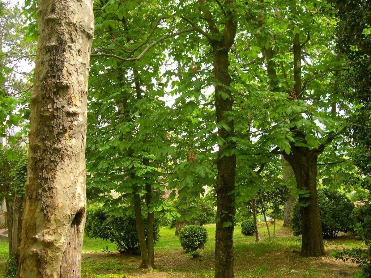 Domaine Du Parais B&B Sospel Eksteriør billede